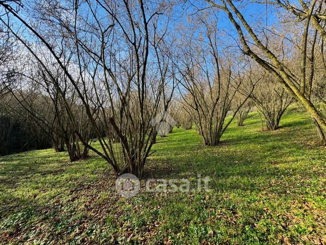 Terreno agricolo in commerciale in 