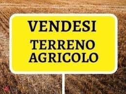 Terreno agricolo in commerciale in 