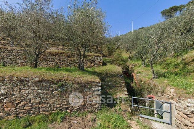 Terreno agricolo in commerciale in Via Rio Magno