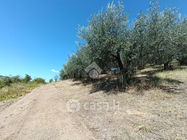 Terreno agricolo in commerciale in Strada Comunale Colle Cretone 1