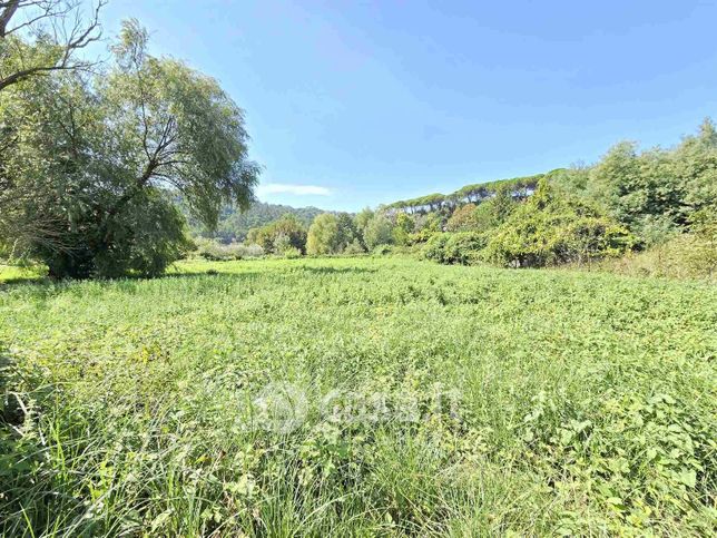 Terreno agricolo in commerciale in 