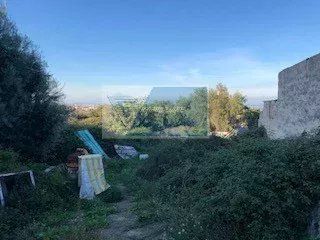 Terreno agricolo in commerciale in Via Attilio Regolo