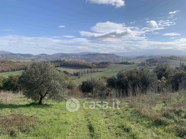 Terreno agricolo in commerciale in 