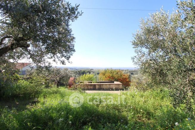 Terreno agricolo in commerciale in Via Colle Lungo 20