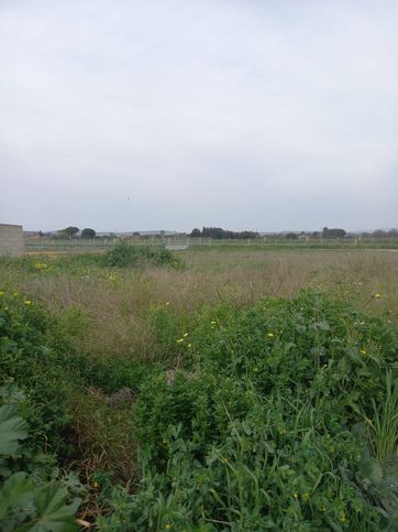 Terreno edificabile in residenziale in Via dell'Artigianato