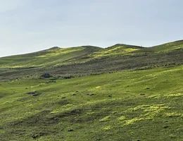 Terreno agricolo in commerciale in Via Tramontana