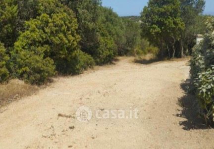 Terreno agricolo in commerciale in Località farina