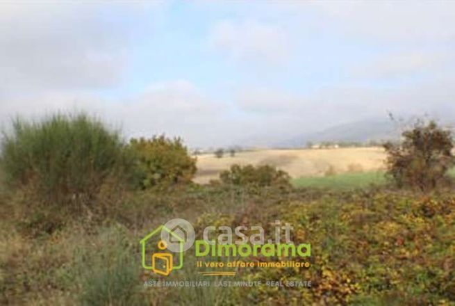 Terreno agricolo in commerciale in Via Flaminia Antica