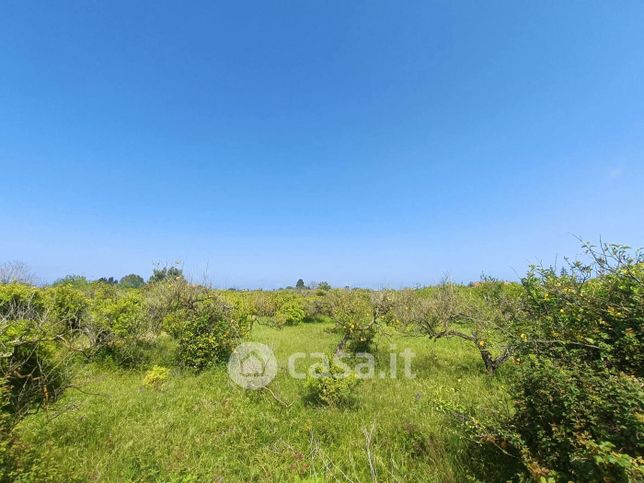 Terreno agricolo in commerciale in Via Battifoglia