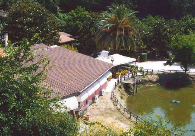 Terreno agricolo in commerciale in Via di Pozzi Bonelli