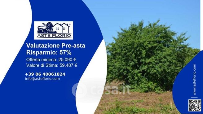 Terreno agricolo in commerciale in Via Guglielmo Pepe