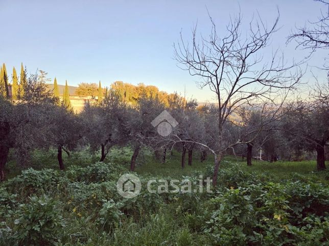 Terreno agricolo in commerciale in Via Rovane