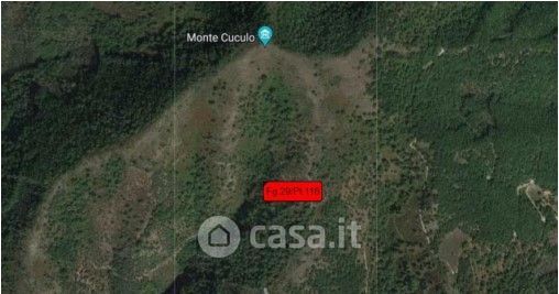 Terreno agricolo in commerciale in Monte Cuculo