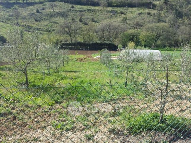 Terreno agricolo in commerciale in Belvedere