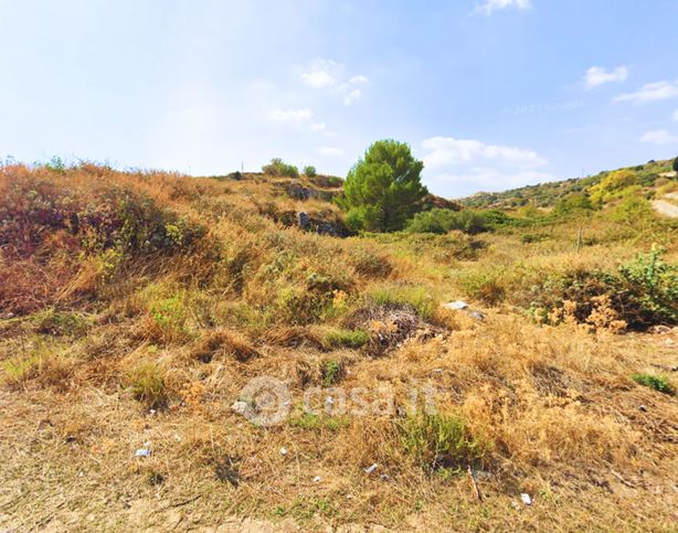 Terreno agricolo in commerciale in Contrada trifonde
