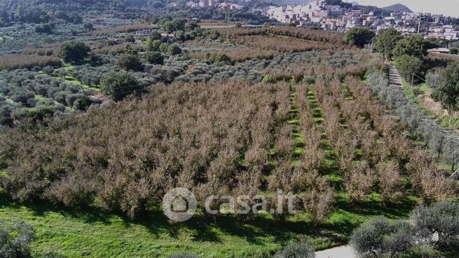 Terreno agricolo in commerciale in Via Innocenzo VIII