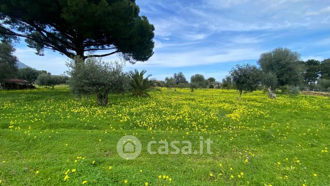 Terreno agricolo in commerciale in Via Ferdinando Magellano