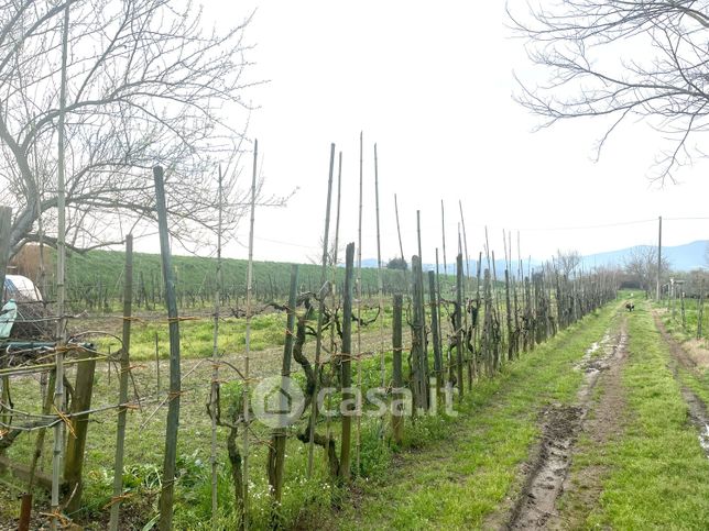 Terreno agricolo in commerciale in Via Soffredi del Grazia