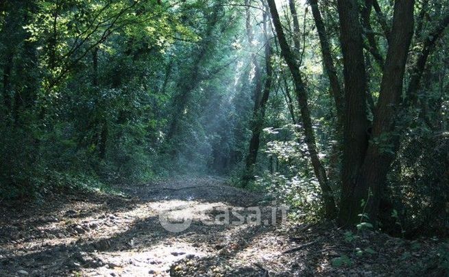 Terreno agricolo in commerciale in Strada del Poggiolo