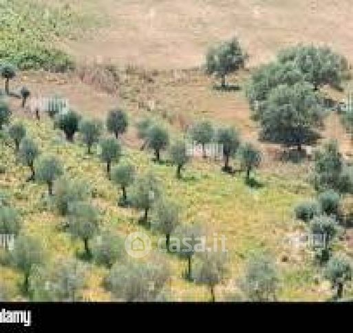 Terreno agricolo in commerciale in 