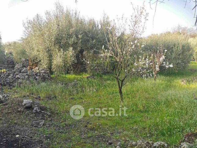 Terreno agricolo in commerciale in 