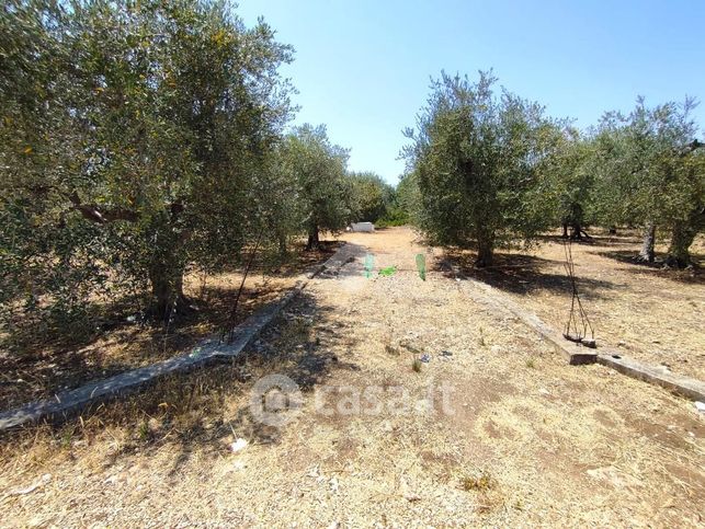 Terreno agricolo in commerciale in