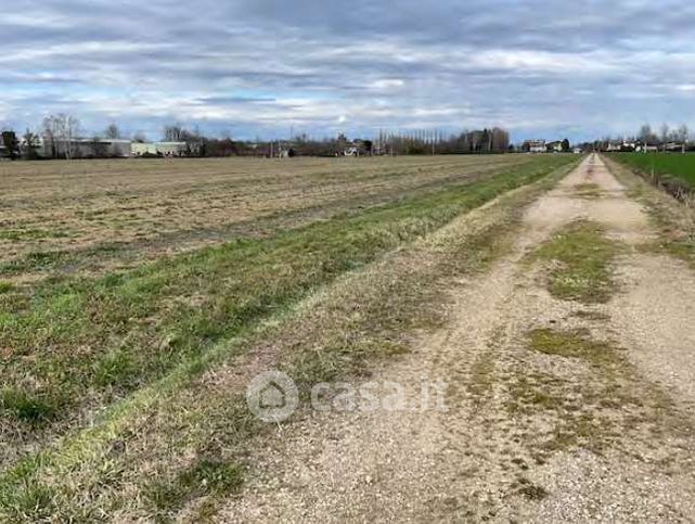 Terreno agricolo in commerciale in Via degli Angeli