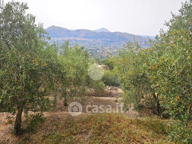 Terreno agricolo in commerciale in Via Valle di Fico