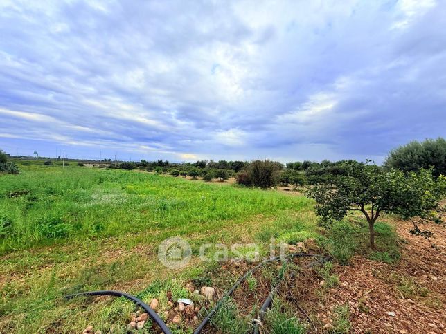 Terreno agricolo in commerciale in Contrada Petrara