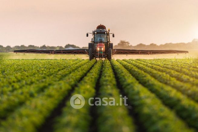 Terreno agricolo in commerciale in Vicolo Guizzetti