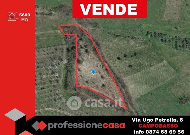 Terreno agricolo in commerciale in Strada Statale 618