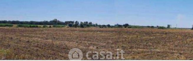 Terreno agricolo in commerciale in Contrada Santa Teresa