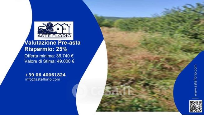 Terreno agricolo in commerciale in Strada Cenerente - Colle Umberto