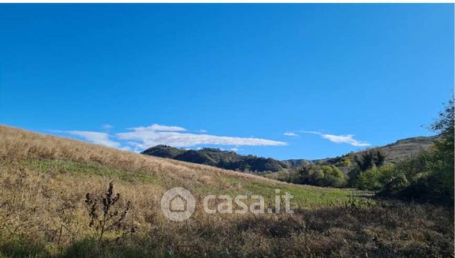 Terreno agricolo in commerciale in Via Cavaioni
