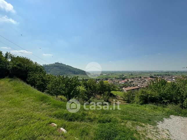 Terreno agricolo in commerciale in Via Antica Strada Romana