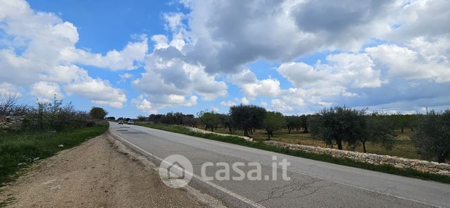 Terreno agricolo in commerciale in Strada Provinciale 101 Conversano Putignano 52