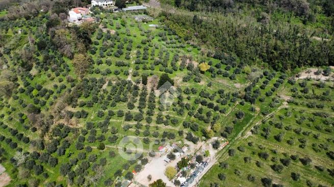 Terreno agricolo in commerciale in Via San Felice e Piteccio 40
