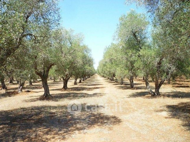 Terreno agricolo in commerciale in