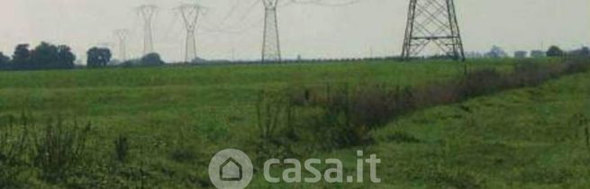 Terreno agricolo in commerciale in Contrada Monte Maggio