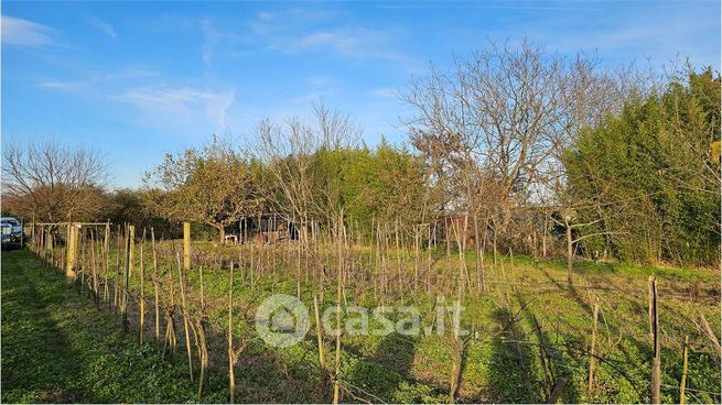 Terreno agricolo in commerciale in Strada Comunale da Scalenghe a Bruera