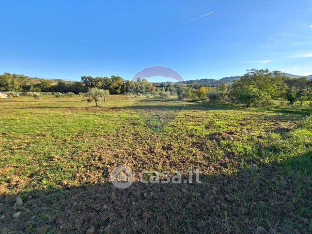 Terreno agricolo in commerciale in Ciclovia dei Parchi della Calabria