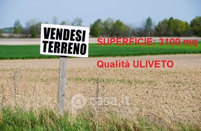 Terreno agricolo in commerciale in Via Paradiso