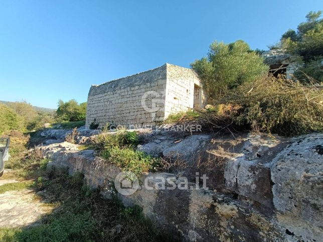 Terreno agricolo in commerciale in Strada Provinciale 37