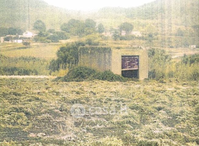 Terreno agricolo in commerciale in Contrada Soccorso