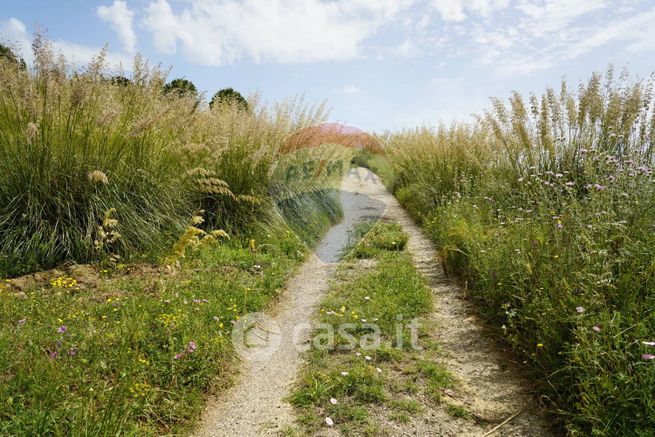 Terreno agricolo in commerciale in Contrada Jacopo Parasporino
