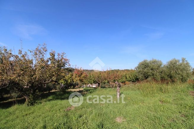 Terreno agricolo in commerciale in Via Torre dei Tucci