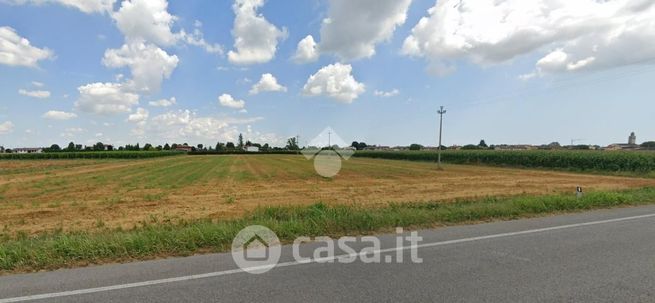 Terreno agricolo in commerciale in Strada Regionale 104