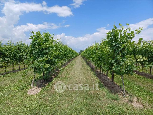 Terreno agricolo in commerciale in Via Roma 1