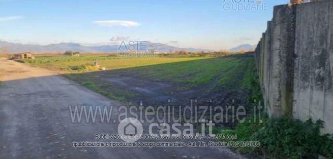 Terreno agricolo in commerciale in Contrada Candelara
