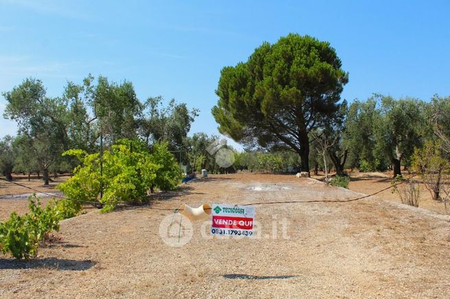 Terreno agricolo in commerciale in Contrada Furchi